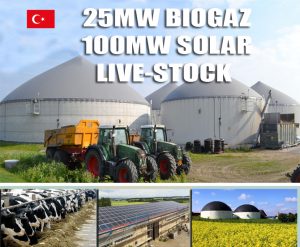 Biogas